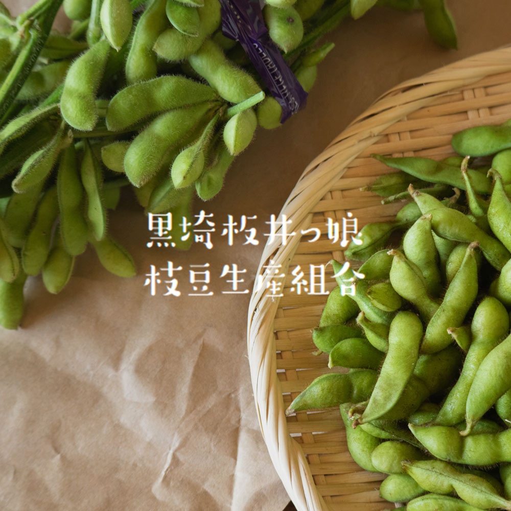 産地直送 新潟県黒埼産 くろさき茶豆 ぴかり茶豆 茶豆 2kg