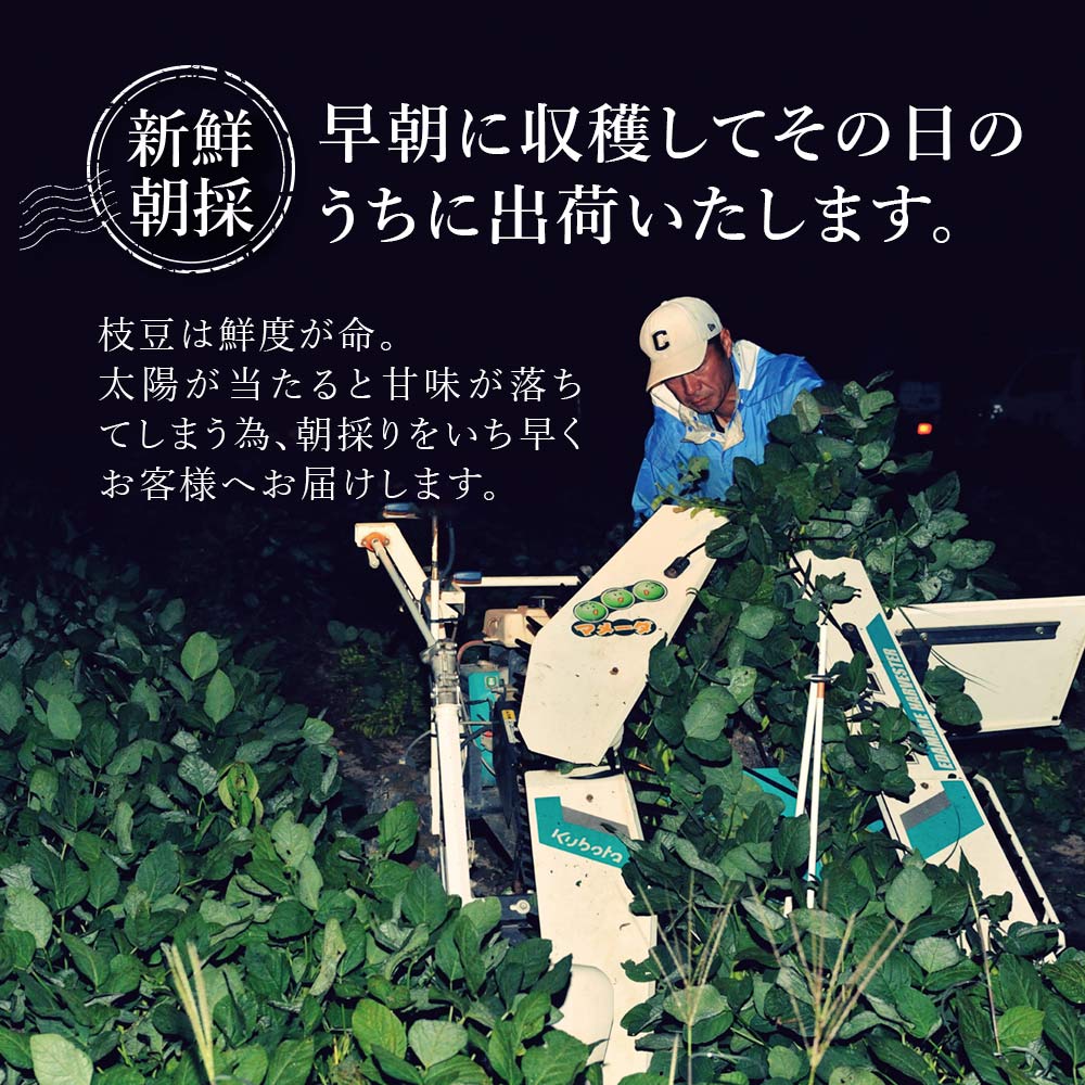 産地直送 新潟県黒埼産 くろさき茶豆 ぴかり茶豆 茶豆 2kg