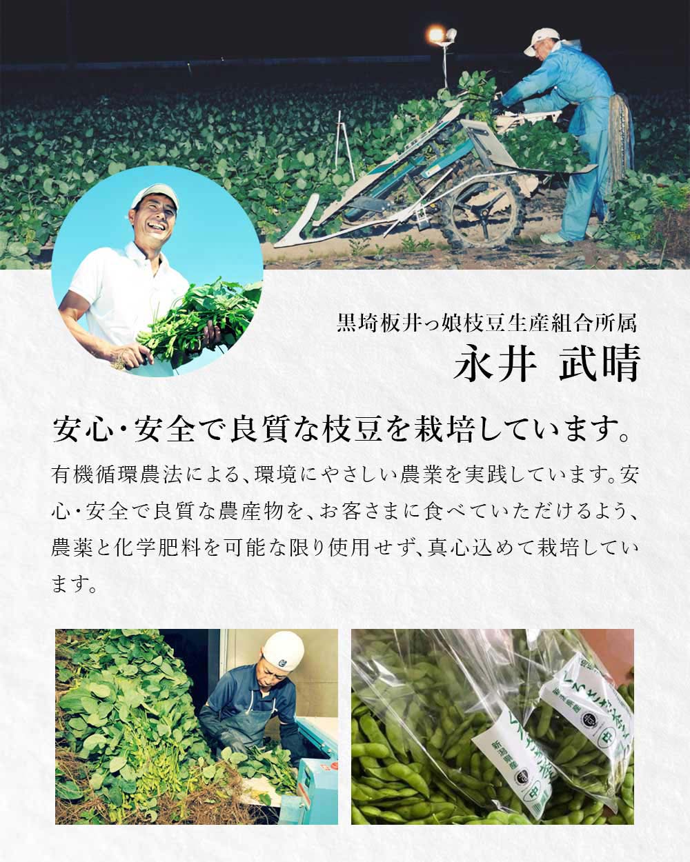 産地直送 新潟県黒埼産 さかな豆 肴豆 青豆 1kg
