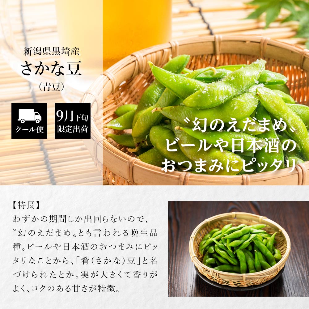 産地直送 新潟県黒埼産 さかな豆 肴豆 青豆 1kg