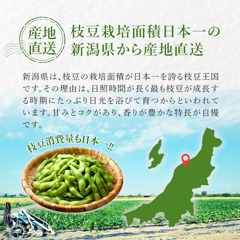 産地直送 新潟県黒埼産 さかな豆 肴豆 青豆 1kg