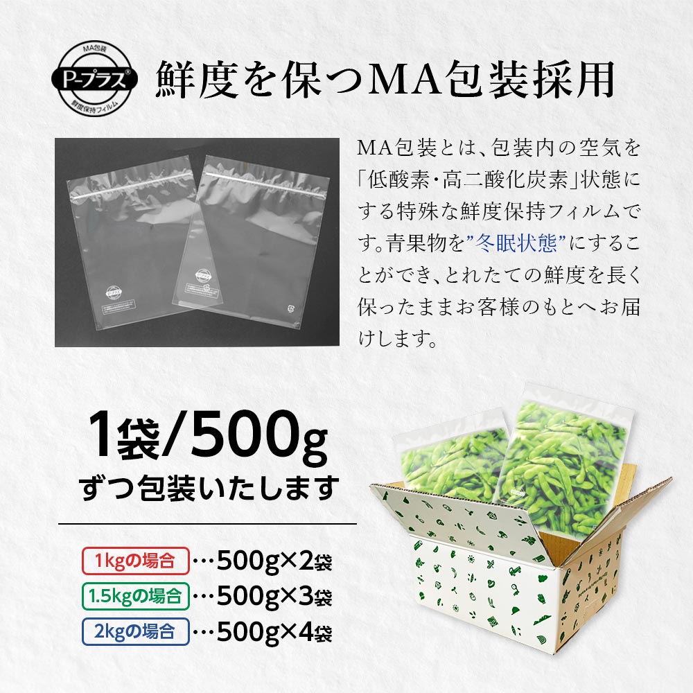 産地直送 新潟県黒埼産 さかな豆 肴豆 青豆 1kg