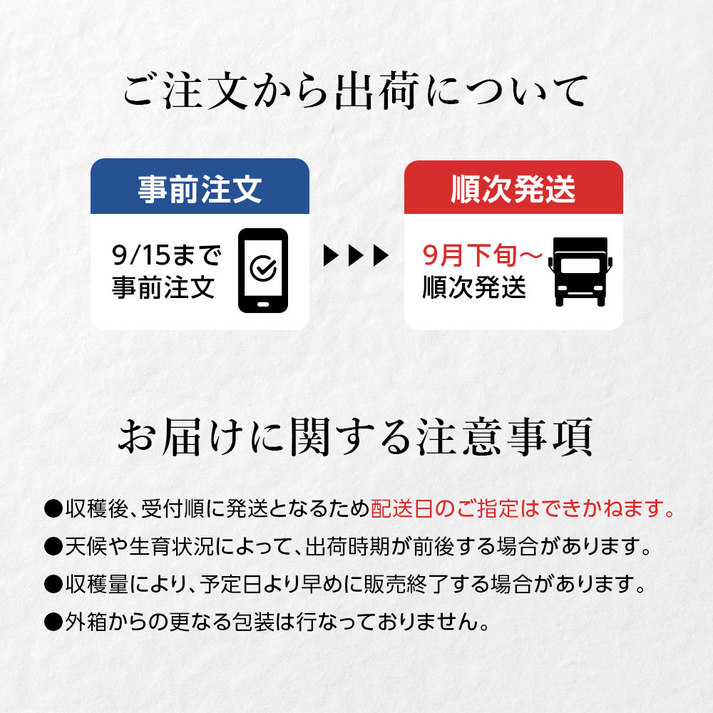 産地直送 新潟県黒埼産 さかな豆 肴豆 青豆 1kg
