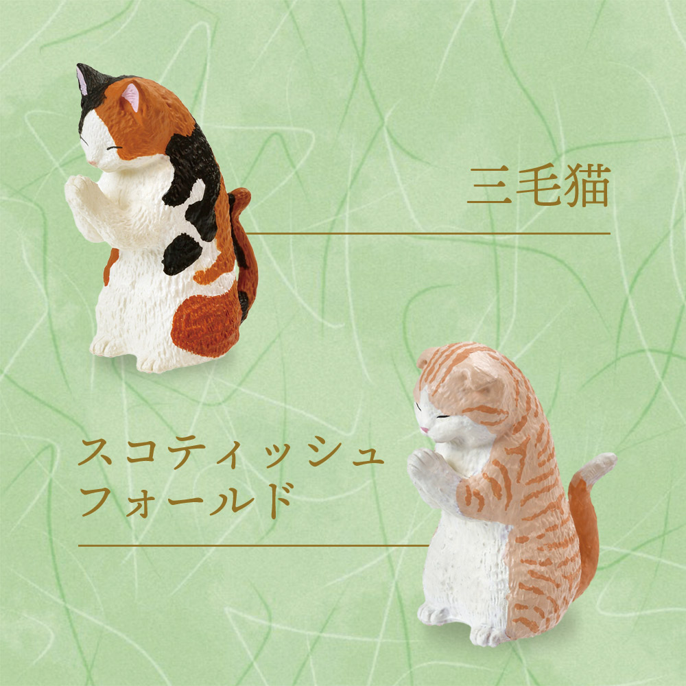 猫*除様 カリスマ ちびぐるみ 全種コンプリート 🍓⚔️📣💫👟 ˗ˏˋ 🌟最新プライズ情報🌟 ˊˎ˗ STPR Familyの