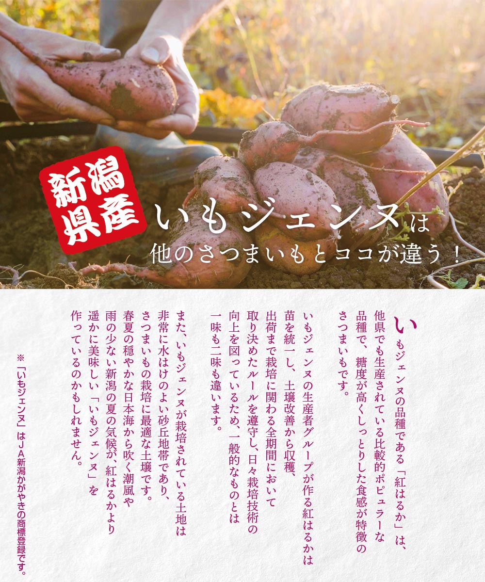 新潟県産 さつまいも いもジェンヌ 1.5g (4〜5本)