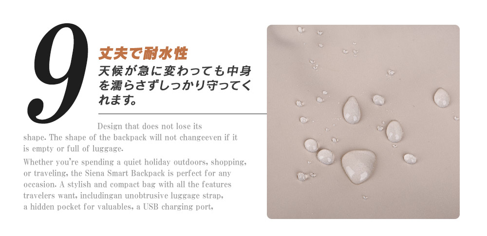 正規輸入販売代理店 ノルディス  Leiden ND1093