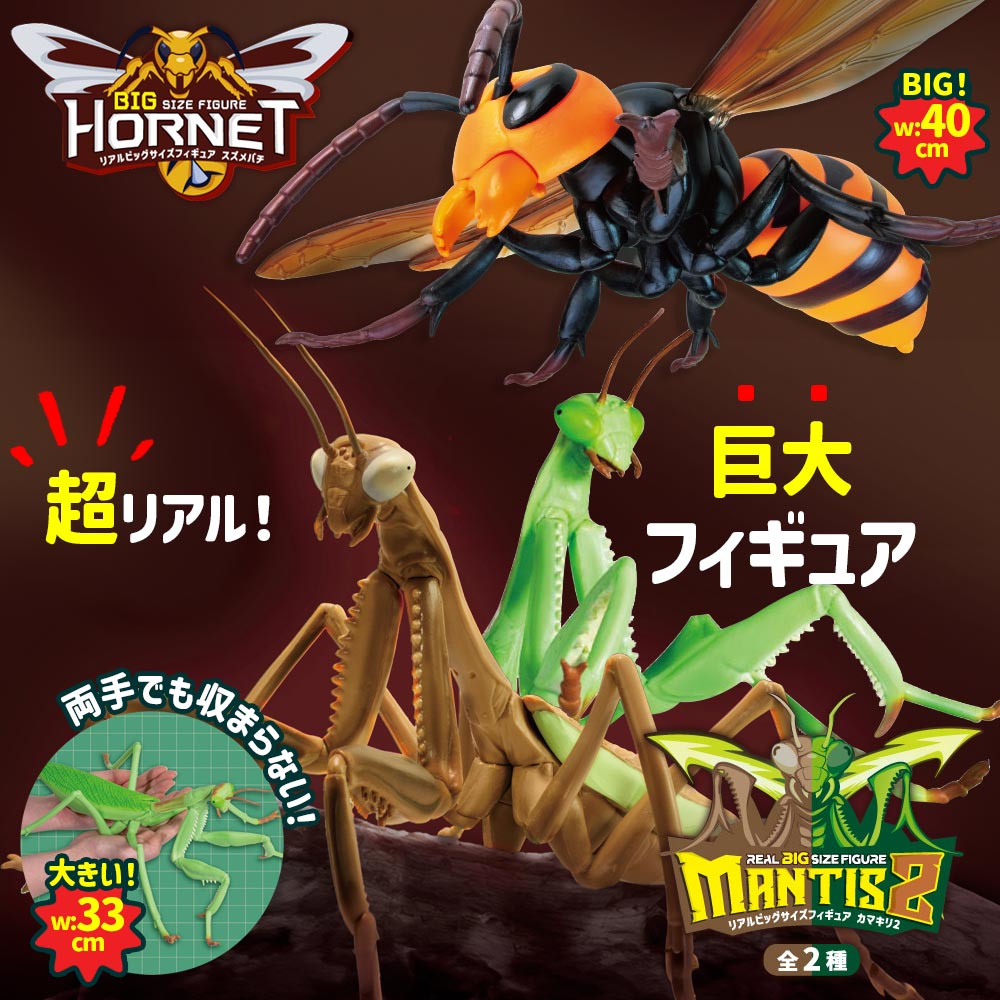 Amazon.co.jp: リアル BIGサイズ フィギュア オオスズメバチ 蜂