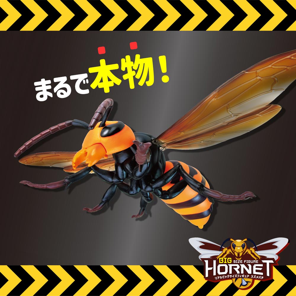Amazon.co.jp: リアル BIGサイズ フィギュア オオスズメバチ 蜂