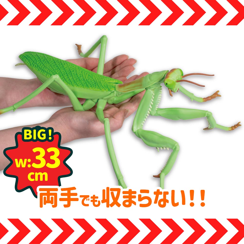 Amazon.co.jp: BIG カマキリ 全長27㎝ 昆虫 フィギュア 模型 BIG