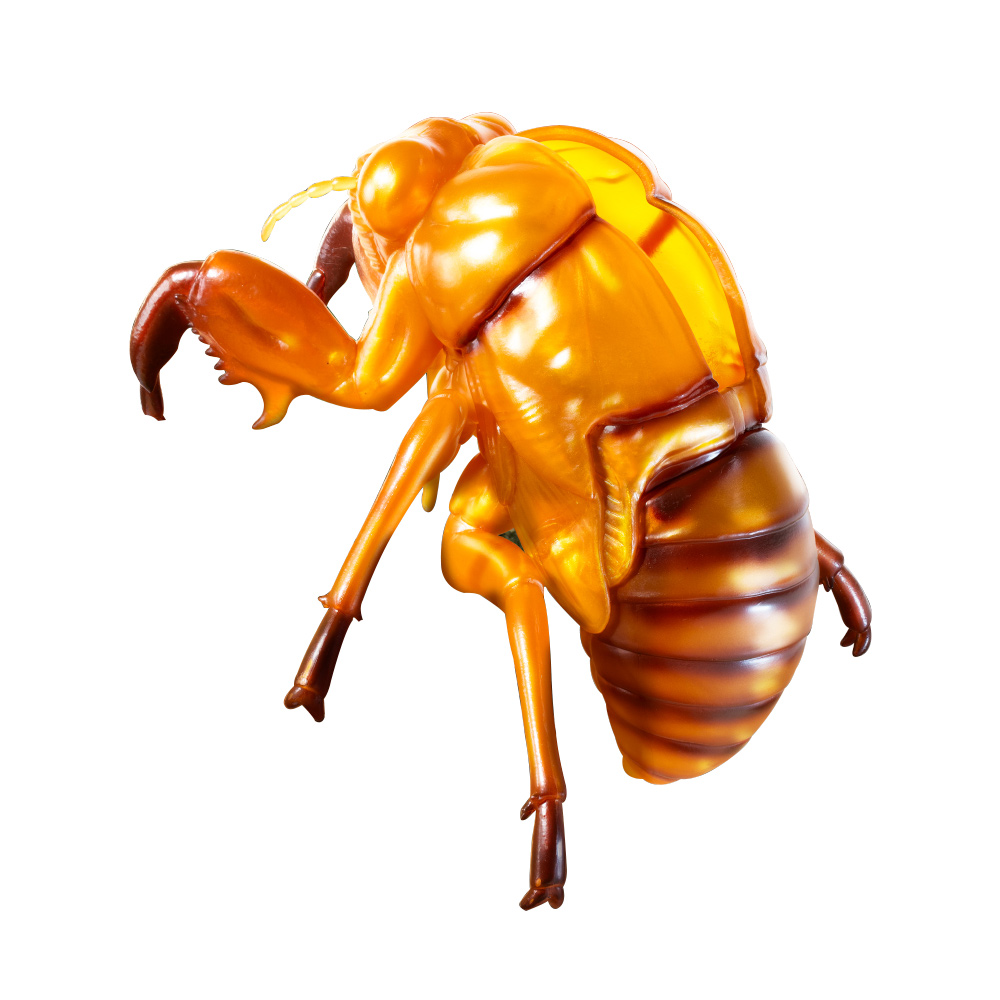 昆虫　生き物　フィギュア　big まとめ YELL フィギュア 虫 昆虫 大きい リアルBIGサイズフィギュアシリーズ