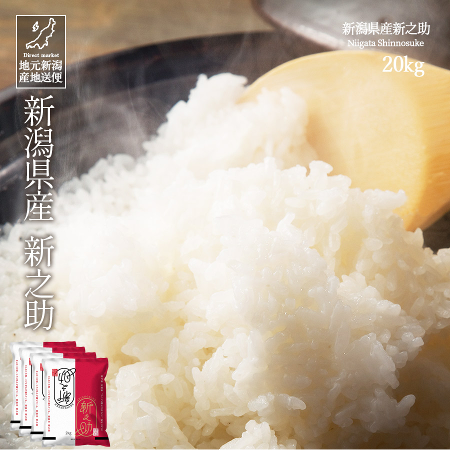 コシヒカリ 新之助 お米 20kg 白米 送料無料 安い 新潟県産 しんのすけ