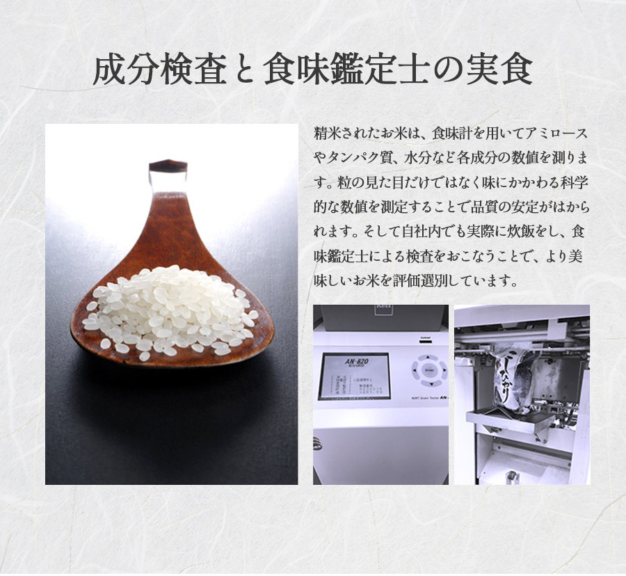 コシヒカリ 新之助 お米 20kg 白米 送料無料 安い 新潟県産 しんのすけ