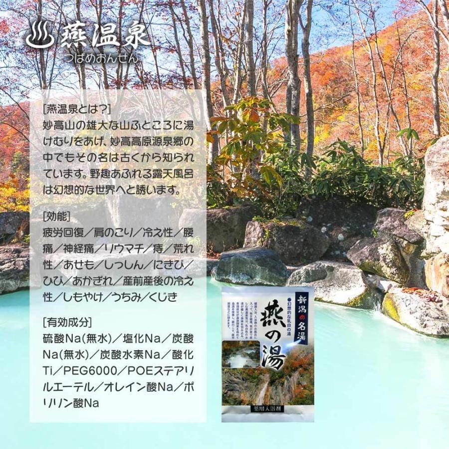 入浴剤 お風呂 自宅 温泉 名湯 秘湯