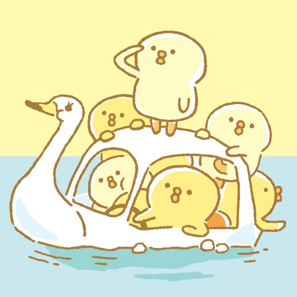 ぴよこ豆