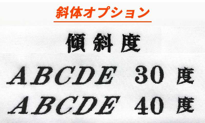 質問逃げ　洗える小手2020 Lサイズ　ネーム刺繍4文字　新品未使用 MIZUNO 【IJF・全柔連新規格対応】名前影刺繍付き(5文字まで