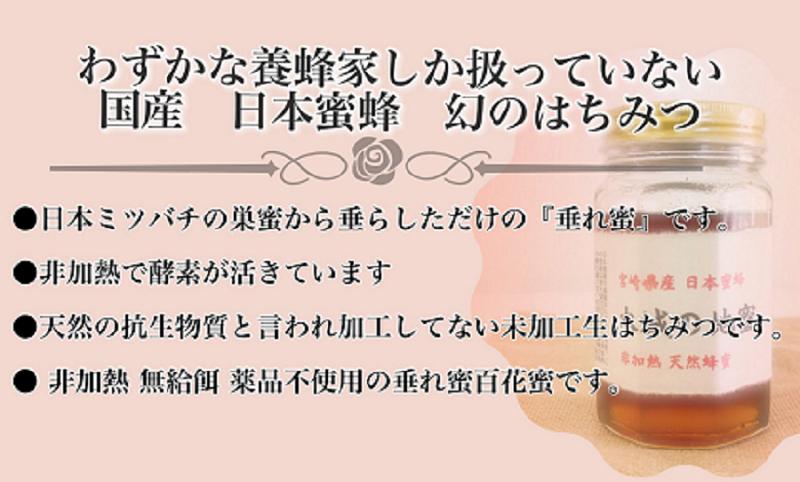 日本蜜蜂 垂れ蜜方式の蜂蜜 400ｇ 非加熱 無給餌 薬品不使用 百花蜜 国産 宮崎県産 栄養たっぷり