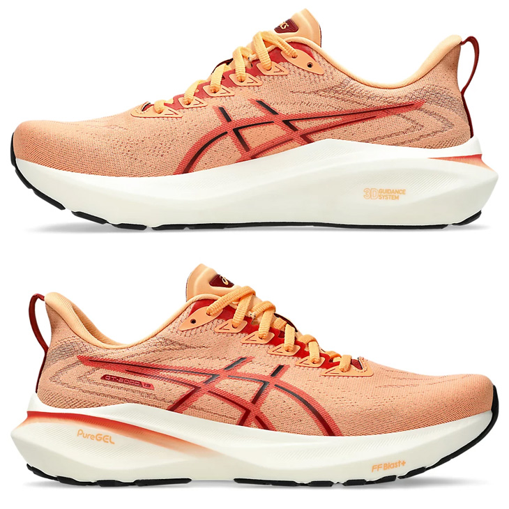 ASICS アシックス ランニングシューズ メンズ asics GT-2000 13