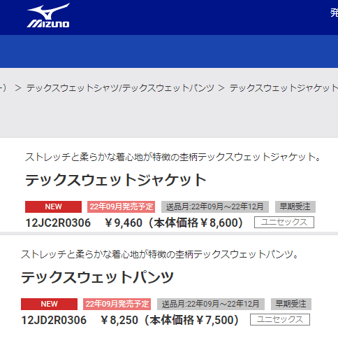 ミズノ MIZUNO トレーニングウェア 上下 メンズ セットアップ