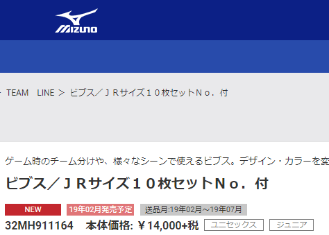 ビブス 10枚セット ジュニア キッズ ナンバー 胸番号 背番号入り