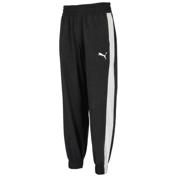 PUMA プーマ ジャージ メンズ 上下セット PUMAトラックスーツ