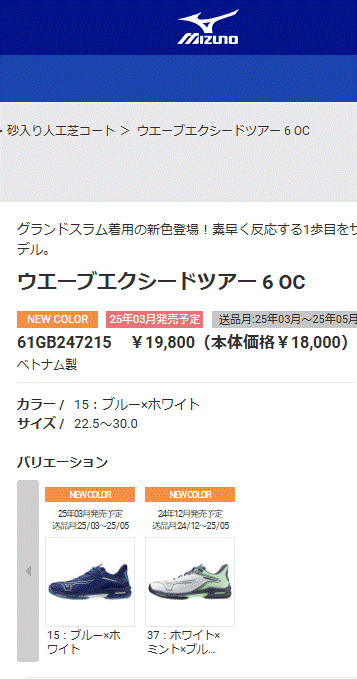 MIZUNO ミズノ テニスシューズ メンズ レディース 2E相当 mizuno