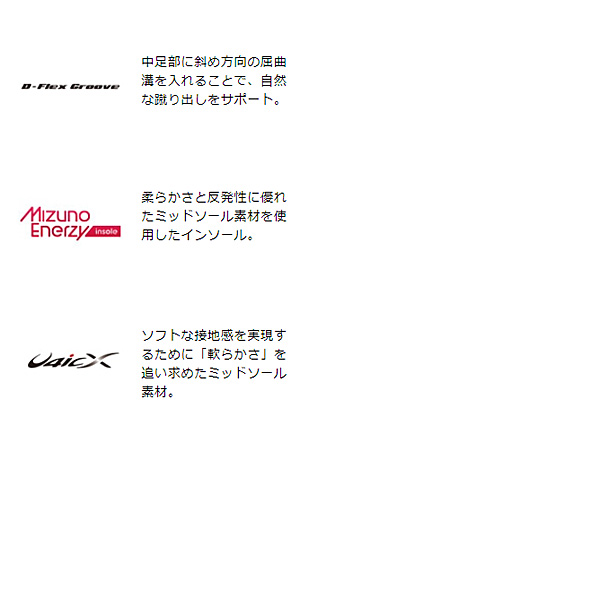 MIZUNO ミズノ テニスシューズ メンズ 2E相当 クレー・砂入り