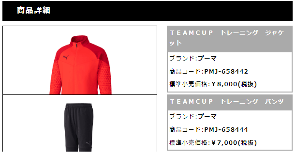 プーマ ジャージ 上下 メンズ PUMA TEAMCUP ジャケット ロングパンツ