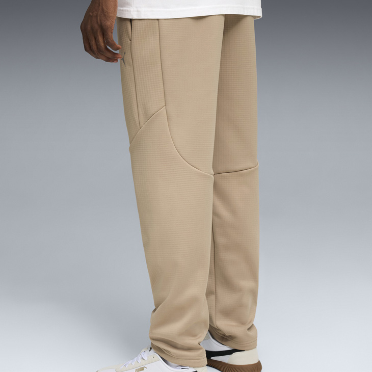 プーマ メンズ 上下セット PUMA EVOSTRIPE ウォーム 長袖パーカー ロングパンツ 裏起毛 セットアップ 男性 スリム スポーツウェア 上下組 フルジップフーディ 長ズボン スウェット ジャージ ランニング 運動 スウェジャー 秋冬 ブランド アパレル/691116-691117 PUMA（プーマ） メンズ 上下セット PUMA EVOSTRIPE ウォーム 長袖