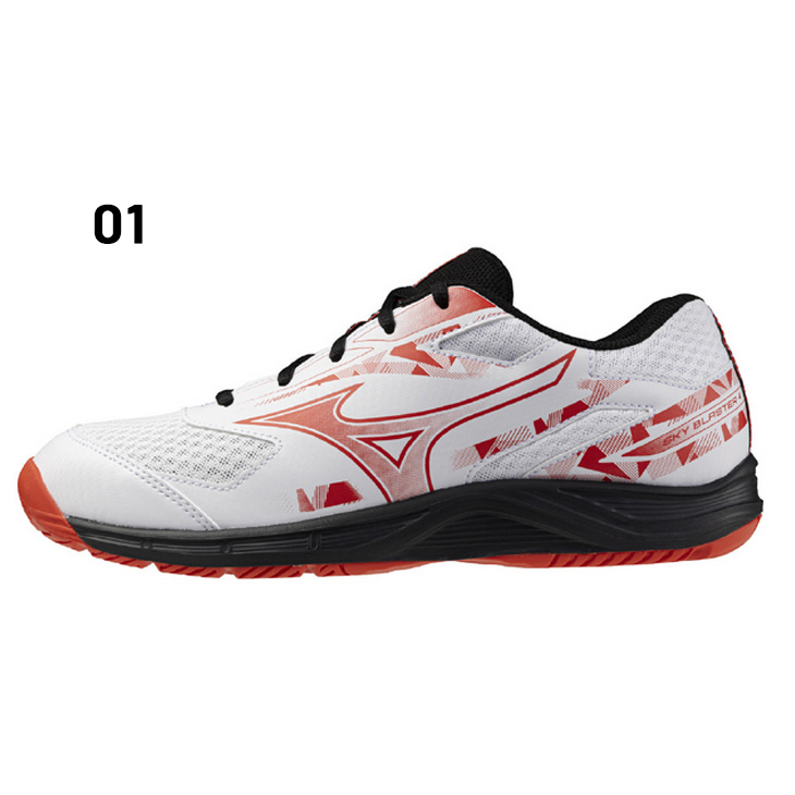 MIZUNO ミズノ バドミントンシューズ メンズ レディース スカイ