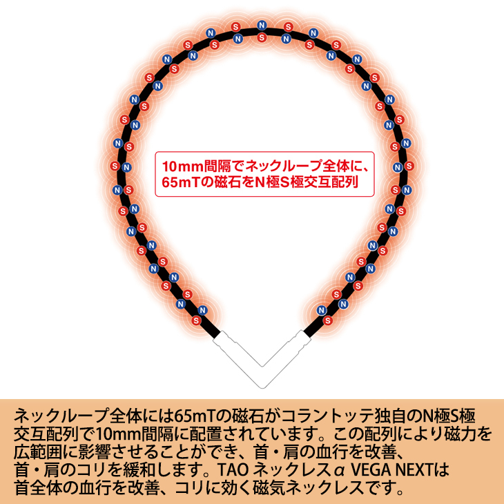 正規販売店】磁気ネックレス コラントッテ Colantotte メンズ