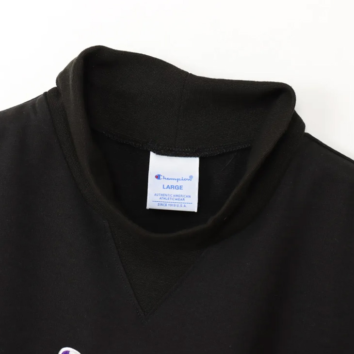 Champion（チャンピオン） モックネックシャツ 長袖 メンズ ゴルフ