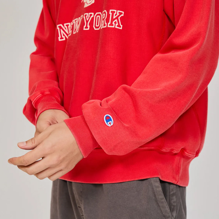 Champion リバース パーカー ワンポイントロゴ 刺繍 – WEGO