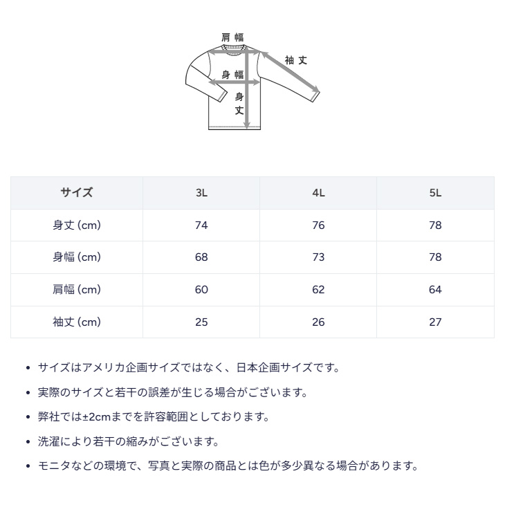 Champion（チャンピオン） 半袖 スウェットシャツ 3L 4L 5L メンズ