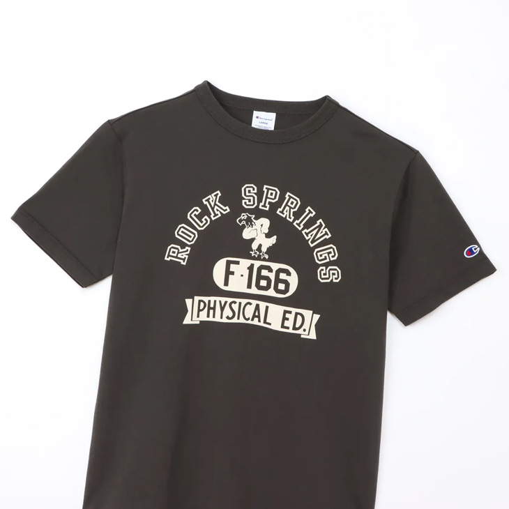 Champion（チャンピオン） 半袖 Tシャツ 3L 4L 5L メンズ 大きいサイズ