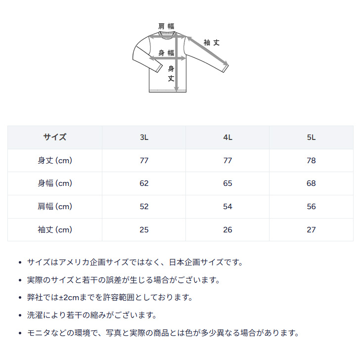 Champion（チャンピオン） 半袖 Tシャツ 3L 4L 5L メンズ 大きいサイズ