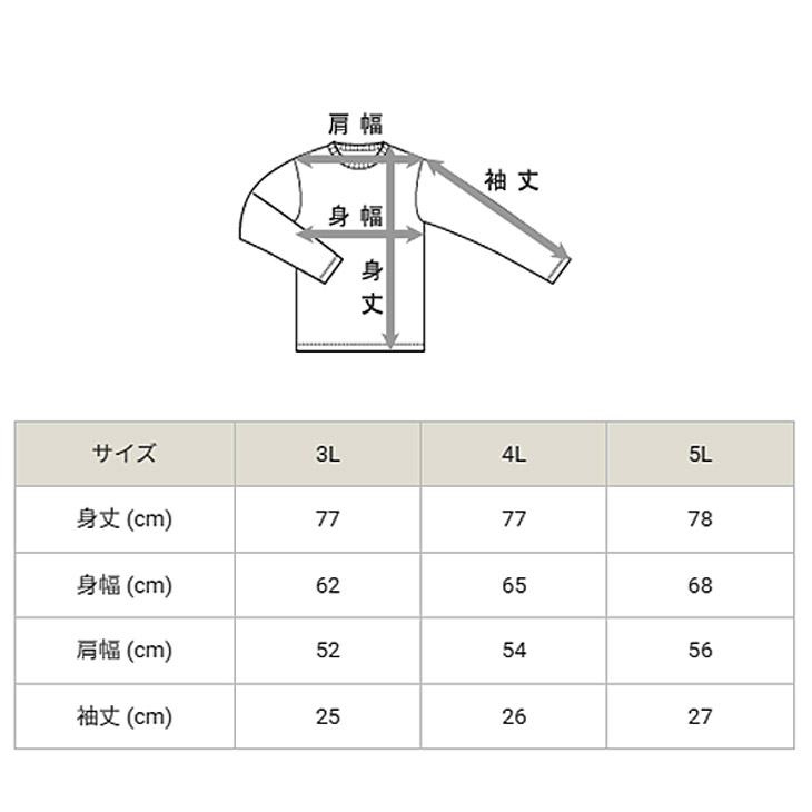 Champion（チャンピオン） 半袖 Tシャツ メンズ 3L 4L 5L 大きいサイズ