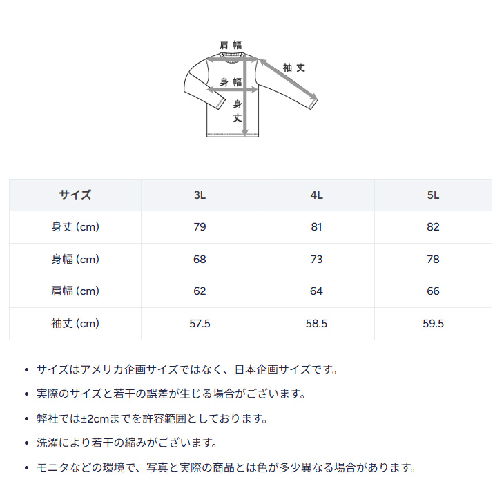 Champion（チャンピオン） 長袖 Tシャツ 3L 4L 5L メンズ 大きいサイズ