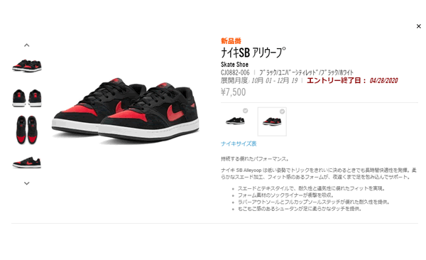 NIKE（ナイキ） スニーカー メンズ シューズ NIKE SB ALLEYOOP