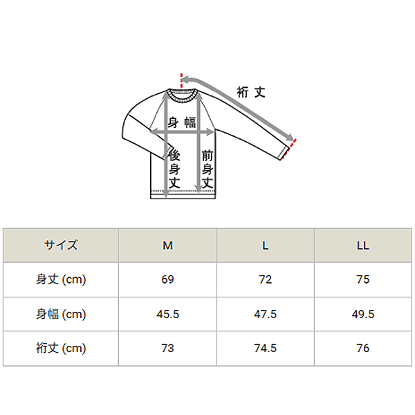 Champion（チャンピオン） 長袖シャツ メンズ インナーシャツ モック