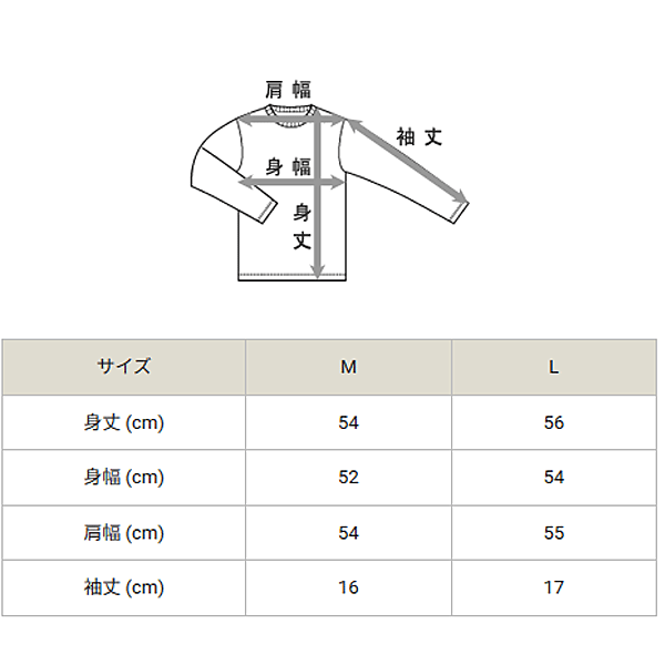 Champion チャンピオン 半袖 Tシャツ レディース ショート丈