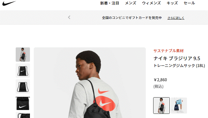 2018年 ナイジェリア　スタジアム ヒップパック 国内未発売 NIKE ナイキ NIKE（ナイキ） ナップサック 18L バッグ 鞄 ブラジリア 9.5