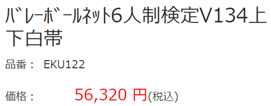 エバニュー EVERNEW バレーボールネット 6人制 検定V134上下白帯 日本