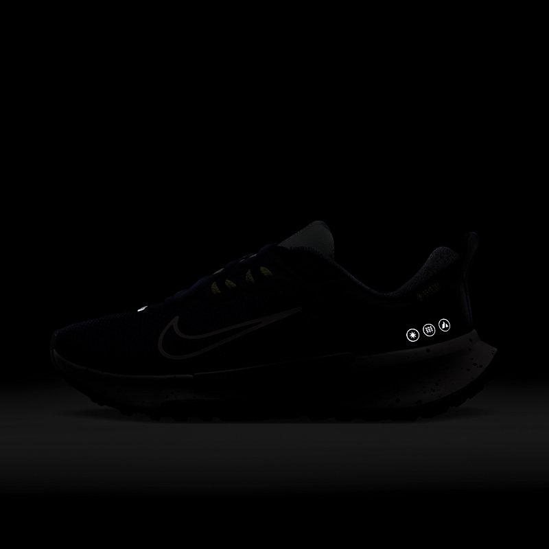 NIKE ナイキ トレイルランニングシューズ GORE-TEX レディース