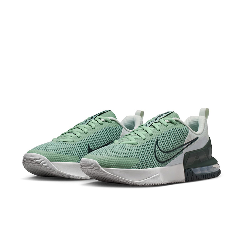 ナイキ　WCモデル　トレーニングシューズ NIKE（ナイキ） トレーニングシューズ メンズ 26-29cm NIKE エア
