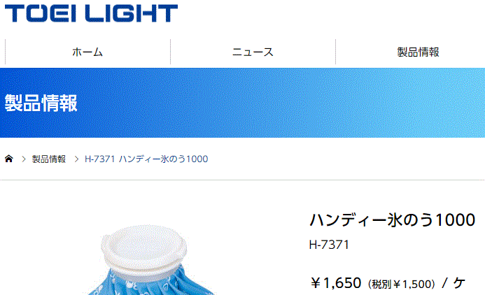 63％以上節約 TOEI LIGHT トーエイライト ハンディー氷のう1000 H7371 reiwaresort.jp