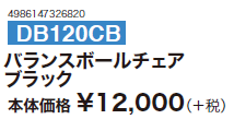 バランスボールチェア ポンプ付き トレーニング用品 ハタ HATAS