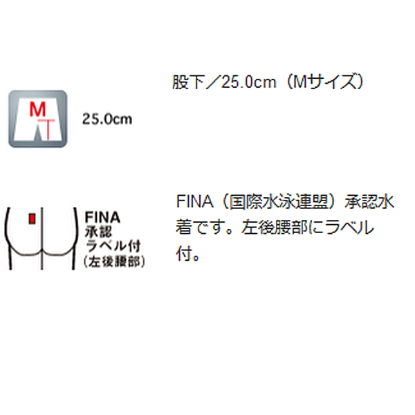 水泳 競泳 競技水着 FINA承認 メンズ 一般 男子 ミズノ mizuno GX