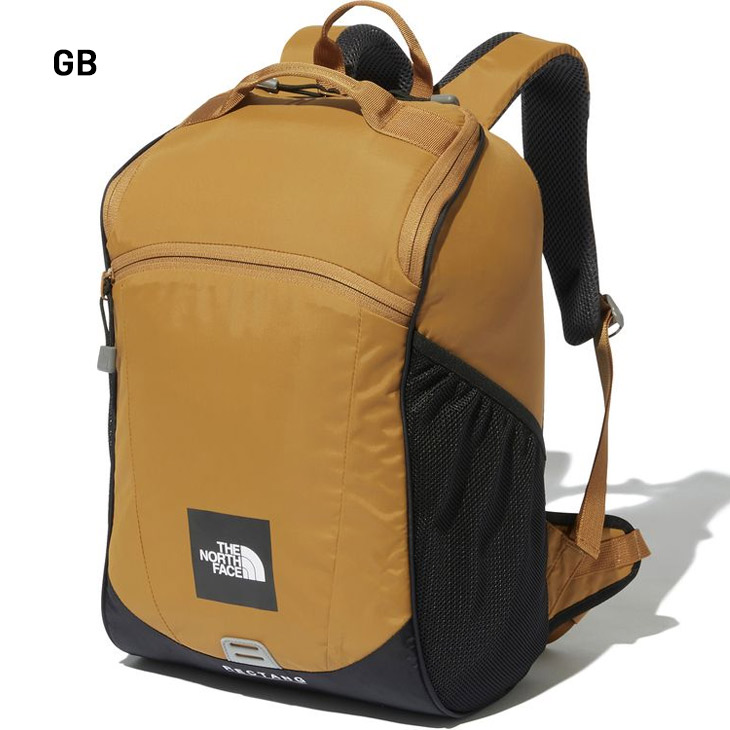 ノースフェイス リュックサック キッズ 子供用 17L THE NORTH FACE