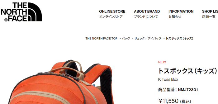 ノースフェイス リュックサック キッズ 子供用 22L バッグ THE NORTH