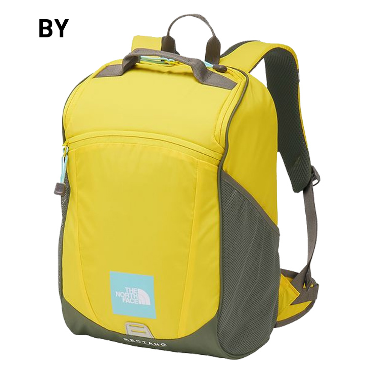 XD ザ・ノース・フェイス キッズ ジュニア リュックサック 17L THE